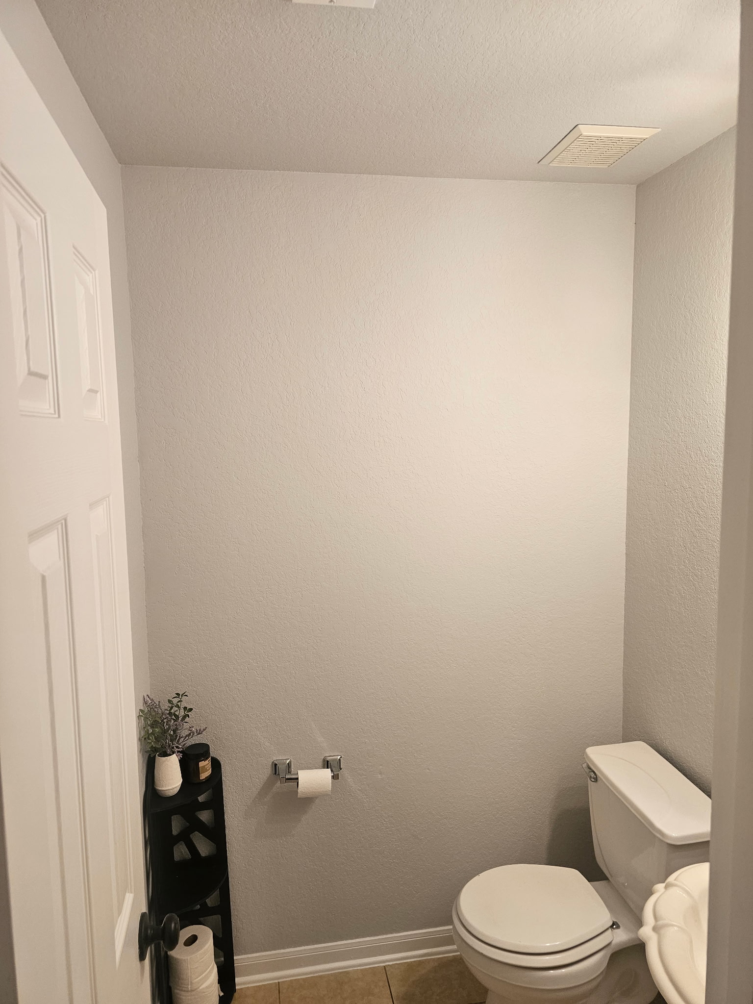 Bathroom Painting Project